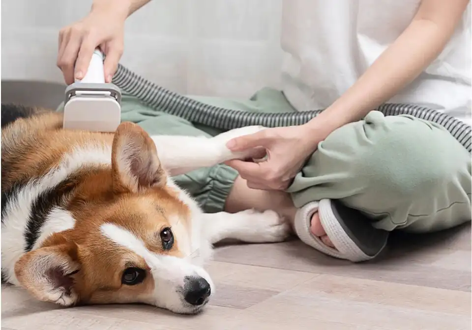 Professional Pet Grooming Vacuum Kit - Image 2