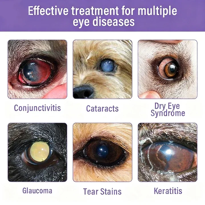 Pet Eye Drops - Image 5