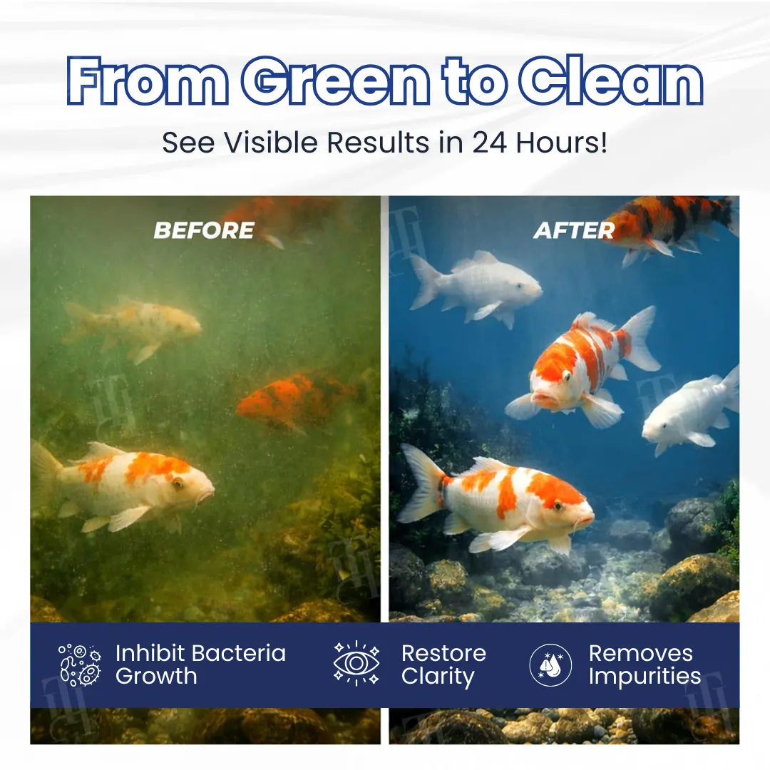 24H Max-Clear Bio-Engine - Image 2