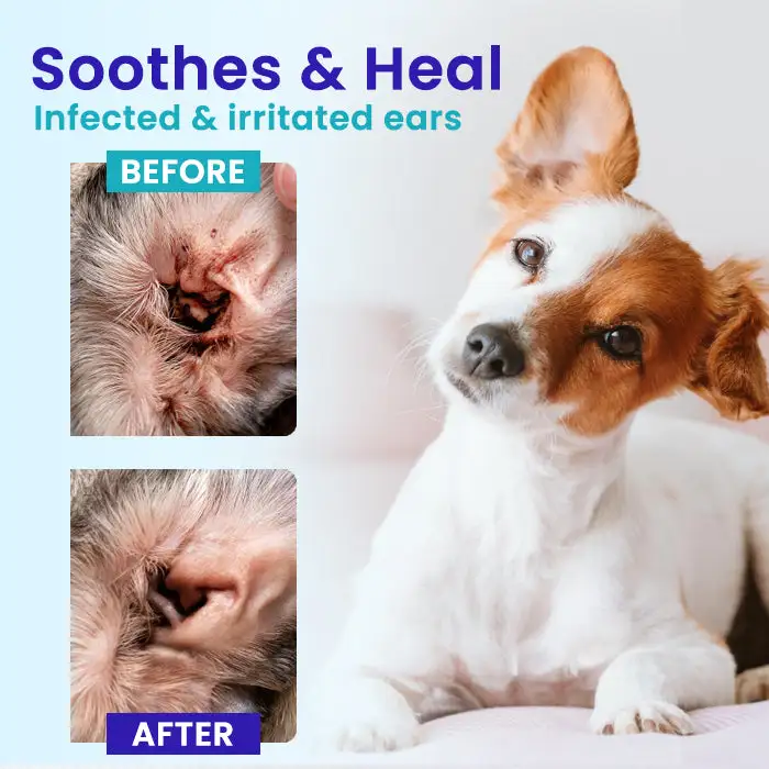 Fast-Acting Pet Ear Infection Relief | - Image 2