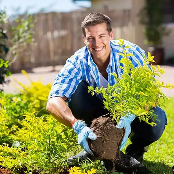 Soil Pro Activator - Image 8