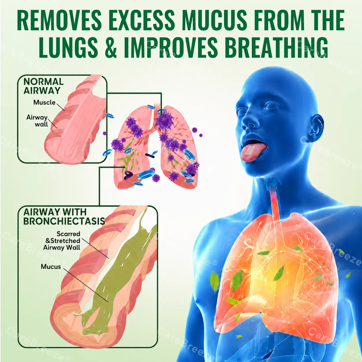Advanced Botanical Mullein Lung Cleanse Melt Strips - Image 4