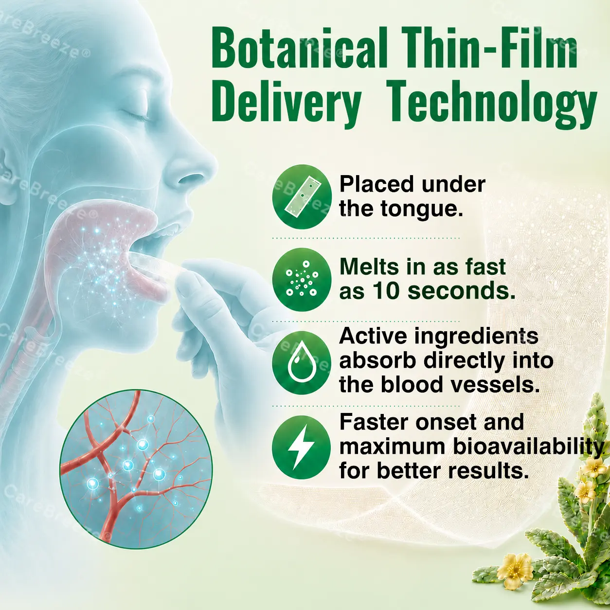 Advanced Botanical Mullein Lung Cleanse Melt Strips - Image 7